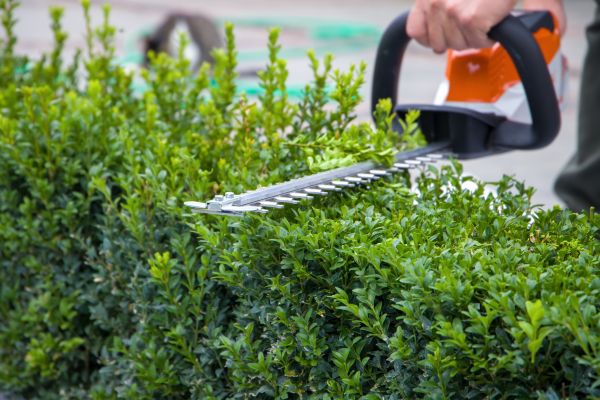 Hedge Pruning in Parker