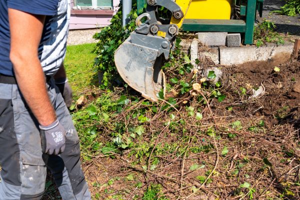 Hedge Removal Service in Parker