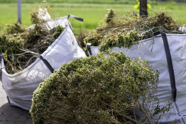 Cost of Shrubs Removal in Parker
