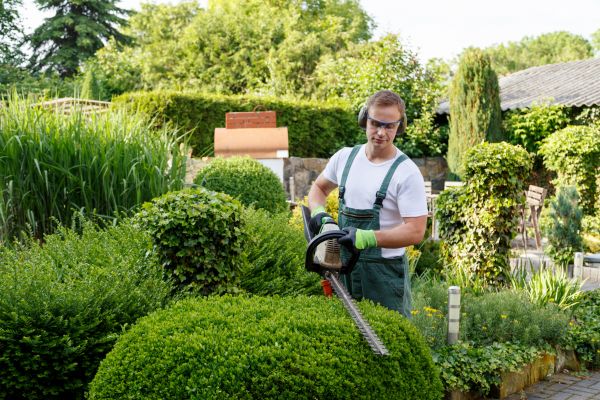 Shrubs Trimming in Parker
