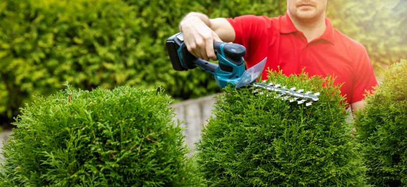 Seasonal Shrub Maintenance